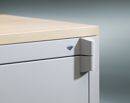 Cabinet with increased fire resistance CP 1180-00 - 4