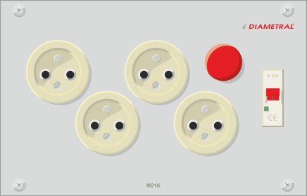 Module 4x socket with its own circuit breaker