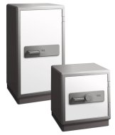 Royal E-V armored safes