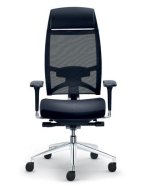 Storm office chair (2 models)