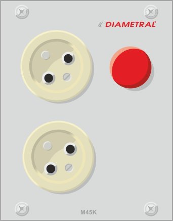 Module 2x socket